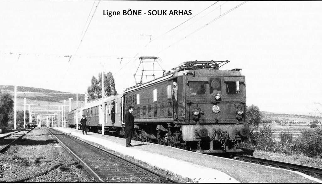 Bone- Souk Arhas 006.JPG